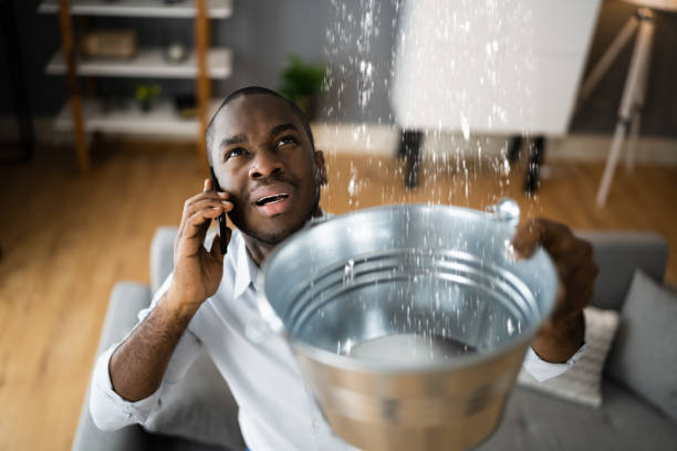 Best Flood restoration services  in Thruston, KY