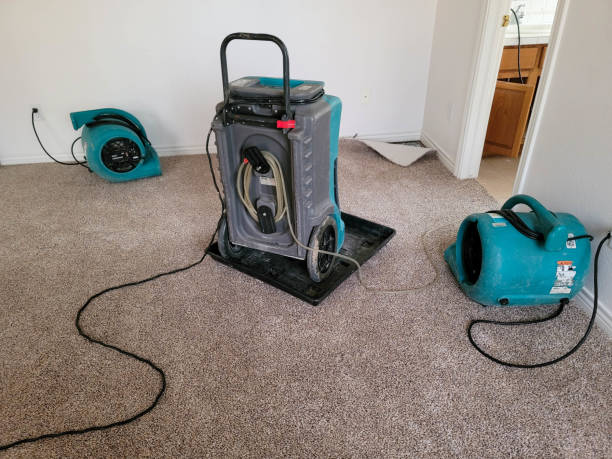 Best Sewage cleanup and water damage restoration  in Thruston, KY