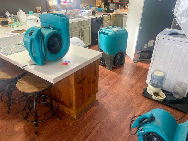 Best Water damage restoration near me  in Thruston, KY