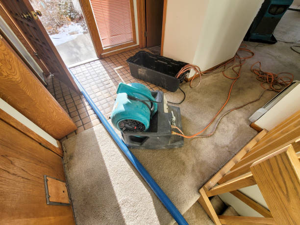 Best Basement water damage restoration  in Thruston, KY
