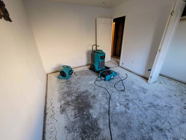 Best Water damage restoration company  in Thruston, KY