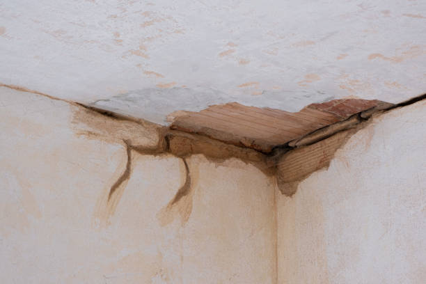Reliable KY Water damage restoration Solutions