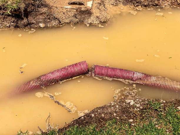 Water damage restoration mold remediation in KY