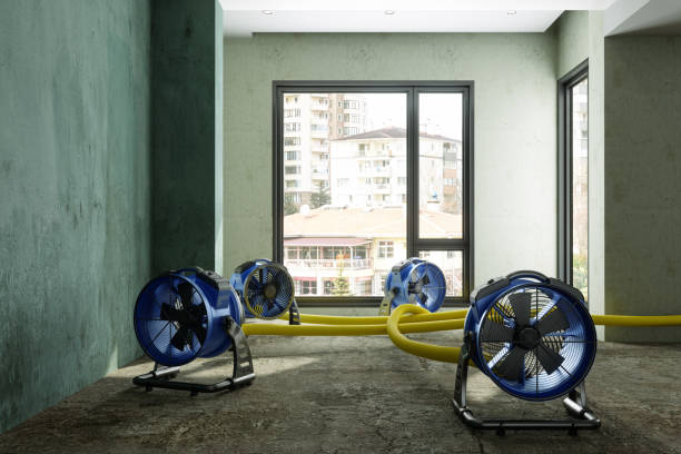Best Water damage repair service  in Thruston, KY
