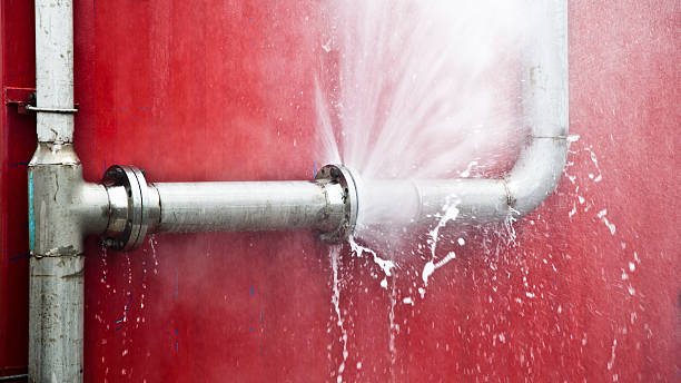 Best Flooded house restoration  in Thruston, KY