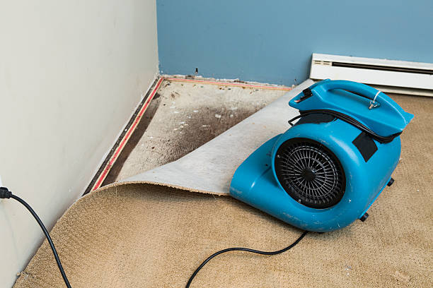 Best Ceiling water damage repair  in Thruston, KY