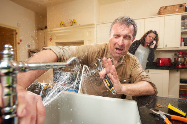 Best Carpet water damage restoration  in Thruston, KY